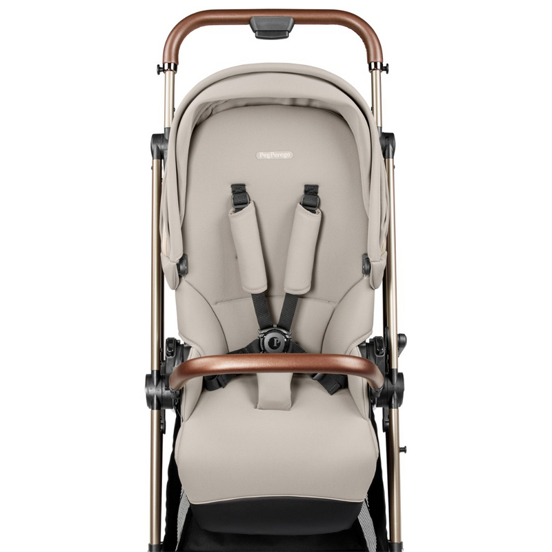 Коляска 2 в 1 Peg Perego Vivace Astral