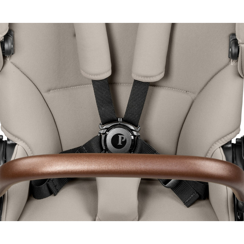 Коляска 2 в 1 Peg Perego Vivace Astral