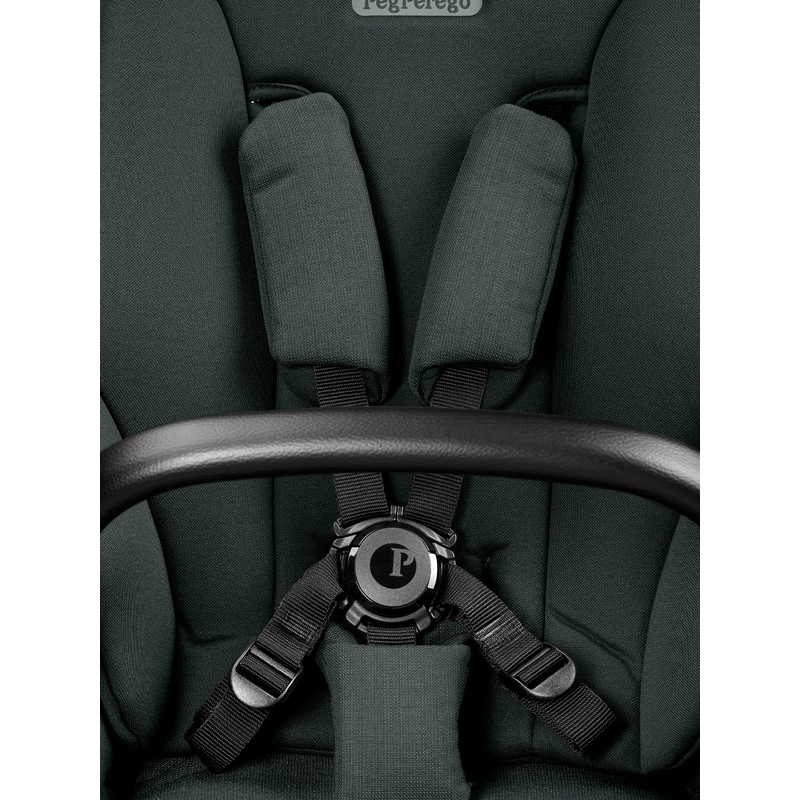 Коляска 2 в 1 Peg Perego Veloce TC Belvedere Metal New