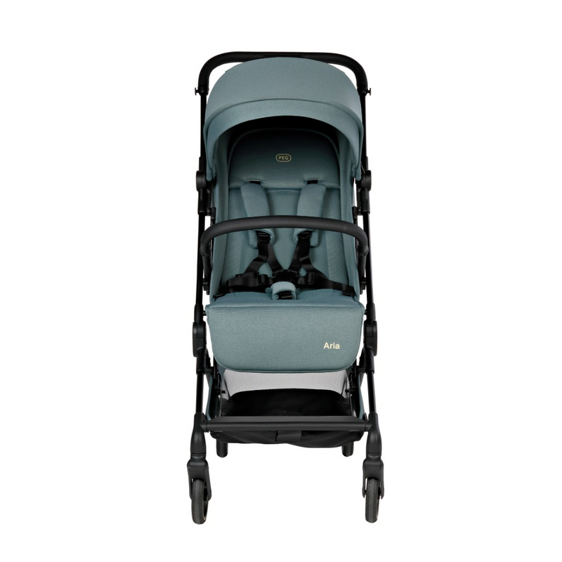 Прогулочная коляска Peg Perego Aria Jade