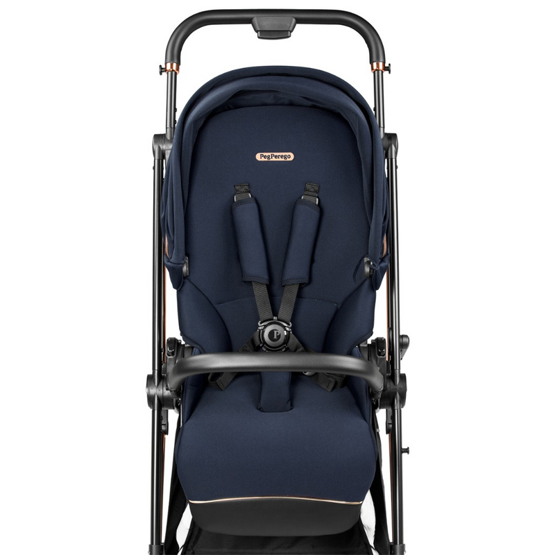 Коляска 2 в 1 Peg Perego Vivace Blue Shine