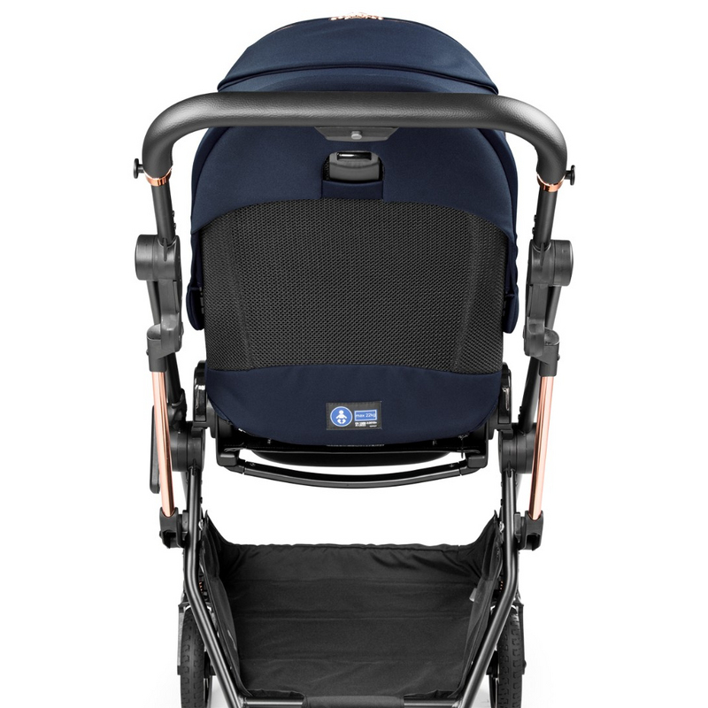 Коляска 2 в 1 Peg Perego Vivace Blue Shine